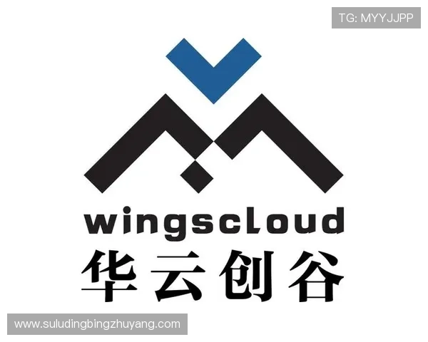 云开直营打造一站式服务平台，满足企业多样化发展需求